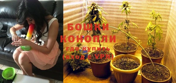 дживик Баксан